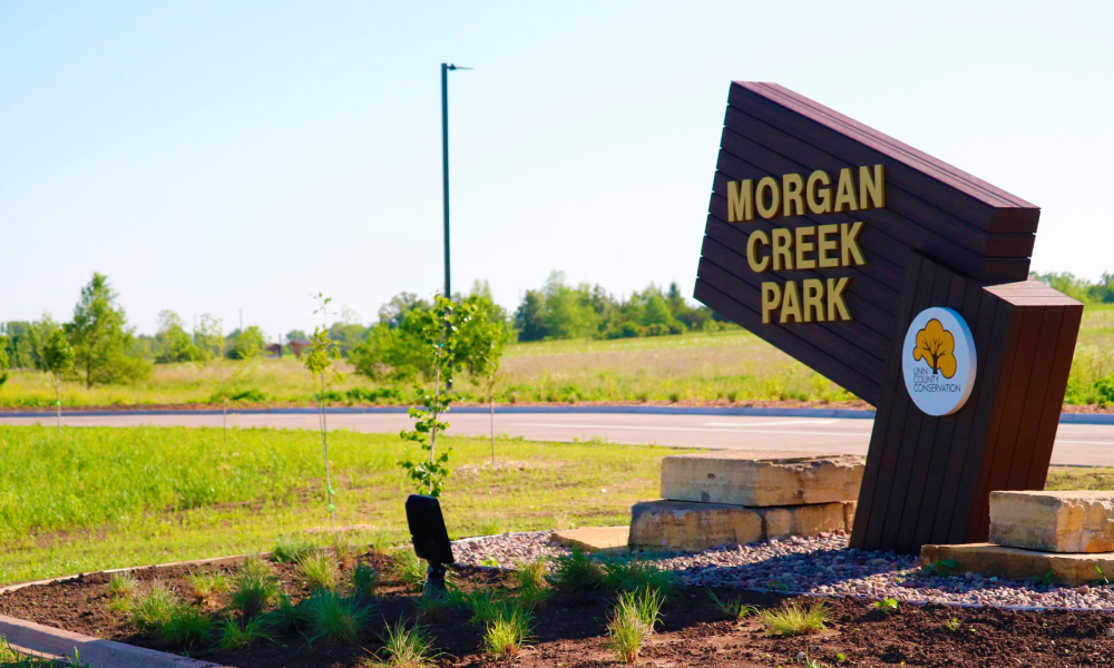 Morgan Creek Park