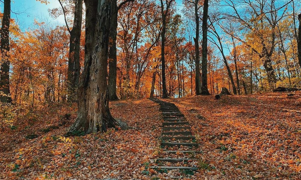 Wildcat Bluff Recreation