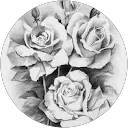 Christina Anderson profile picture